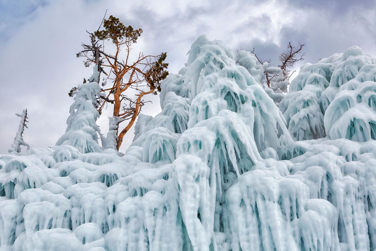 Les formations de glaces incroyables du lac Baïkal en hiver 3 Arbres couverts de glace sur la rive du lac Baïkal