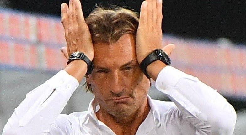 Le Maroc doit chasser le doute 2 Renard