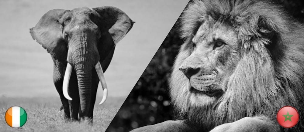 MAROC vs Côte d'Ivoire, un sentiment particulier pour Hervé Renard 1 maroc côte d'ivoire