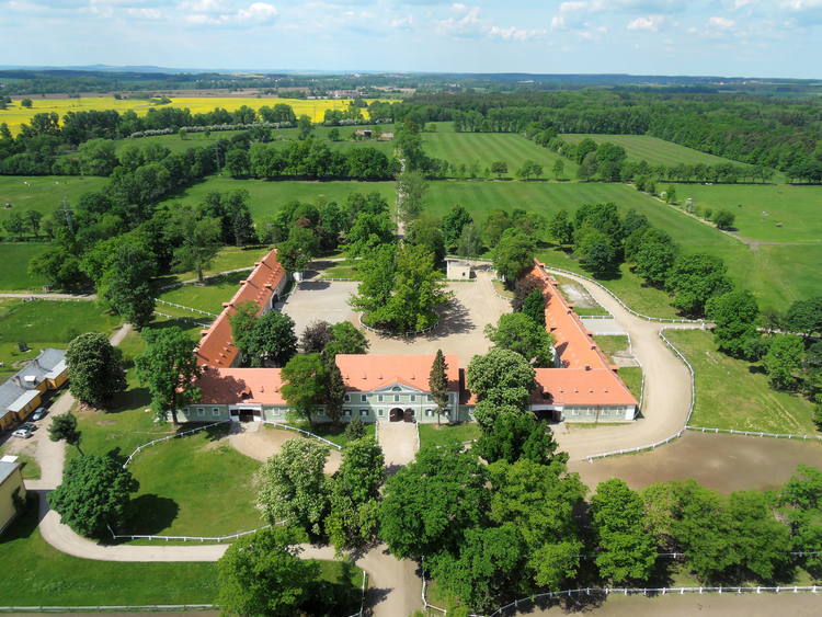 Paysage pour l'élevage et l'entrainement de chevaux de cérémonie à Kladruby nad Labem
