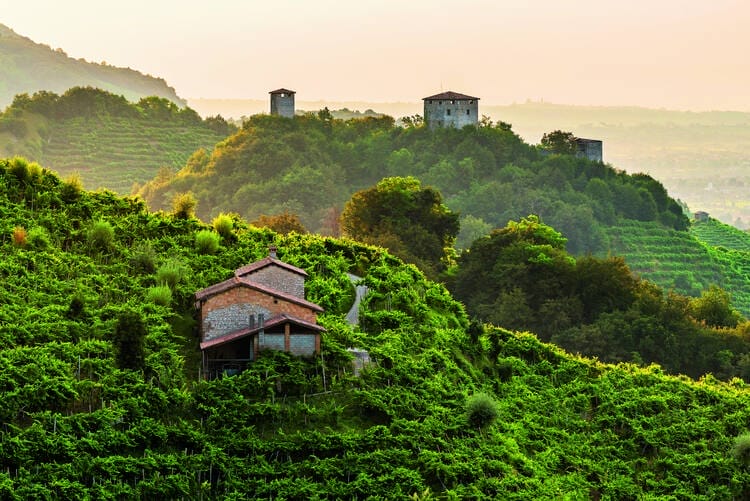 Colline du prosecco de Conegliano à Valdobbiadene