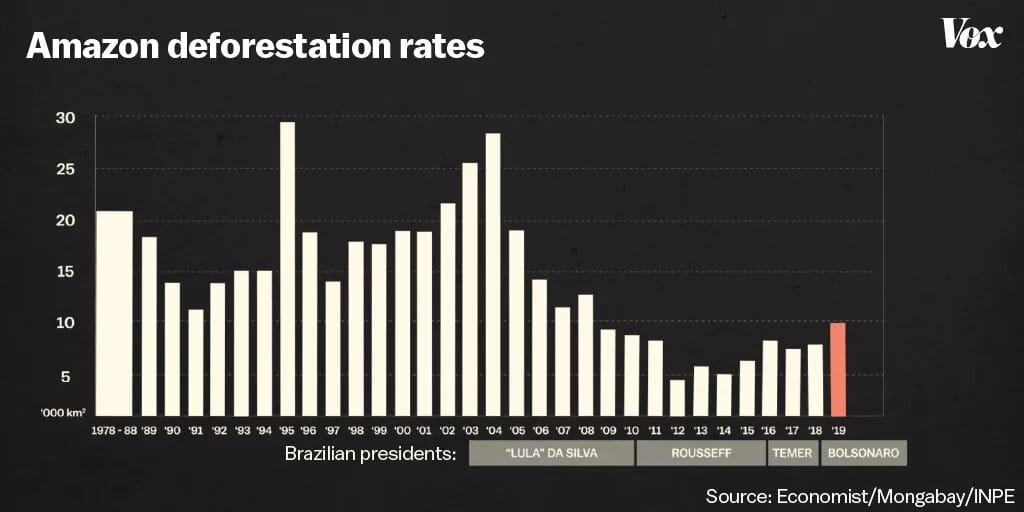 La déforestation de l’Amazonie a presque doublé en un an 1 déforestation