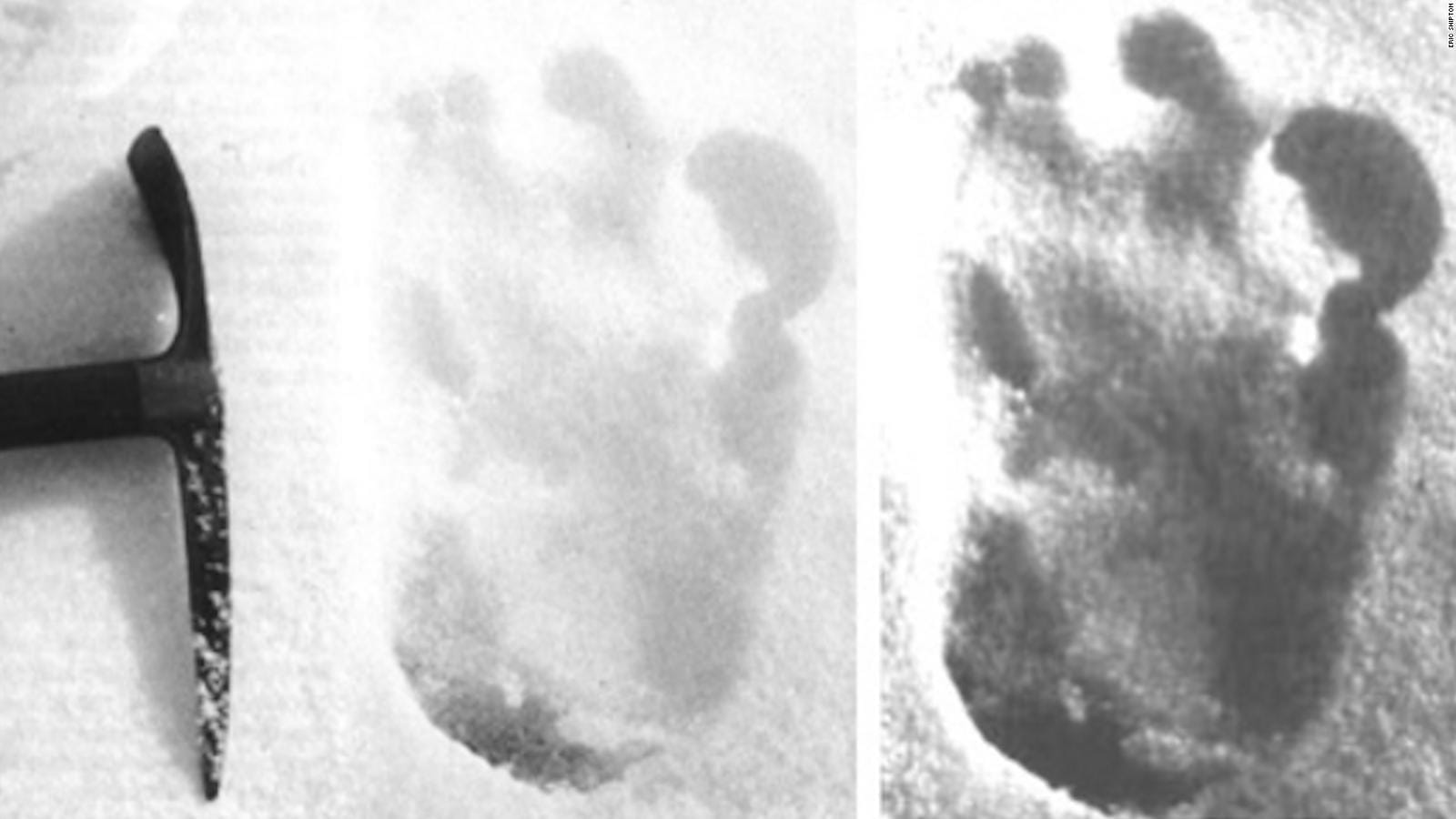Yeti foot print Yeti foot print