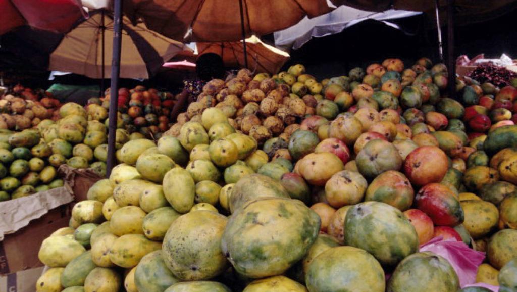 L'intelligence artificielle et le "big data" en Afrique 2 Mango