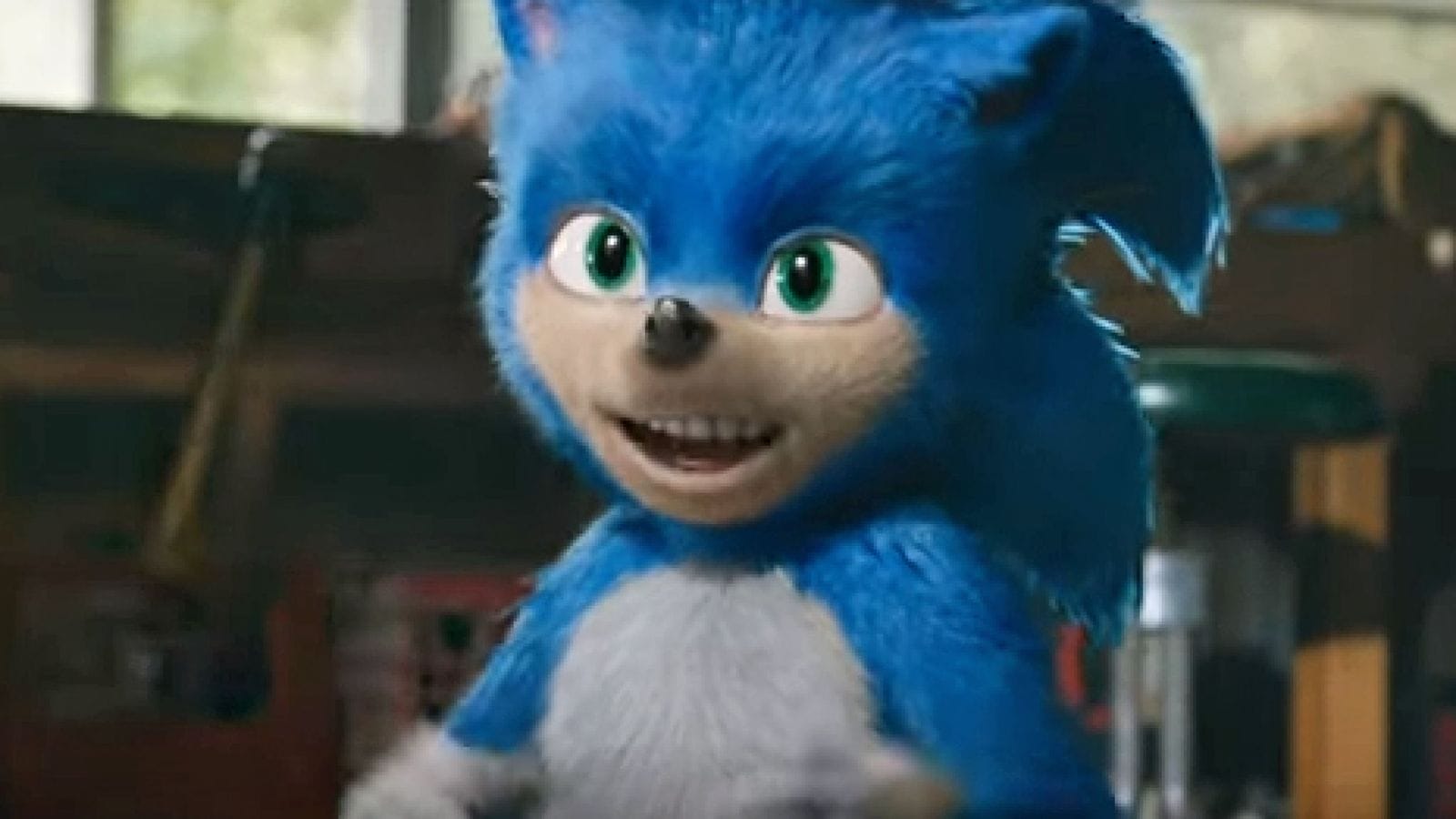 Sonic The Hedgehog