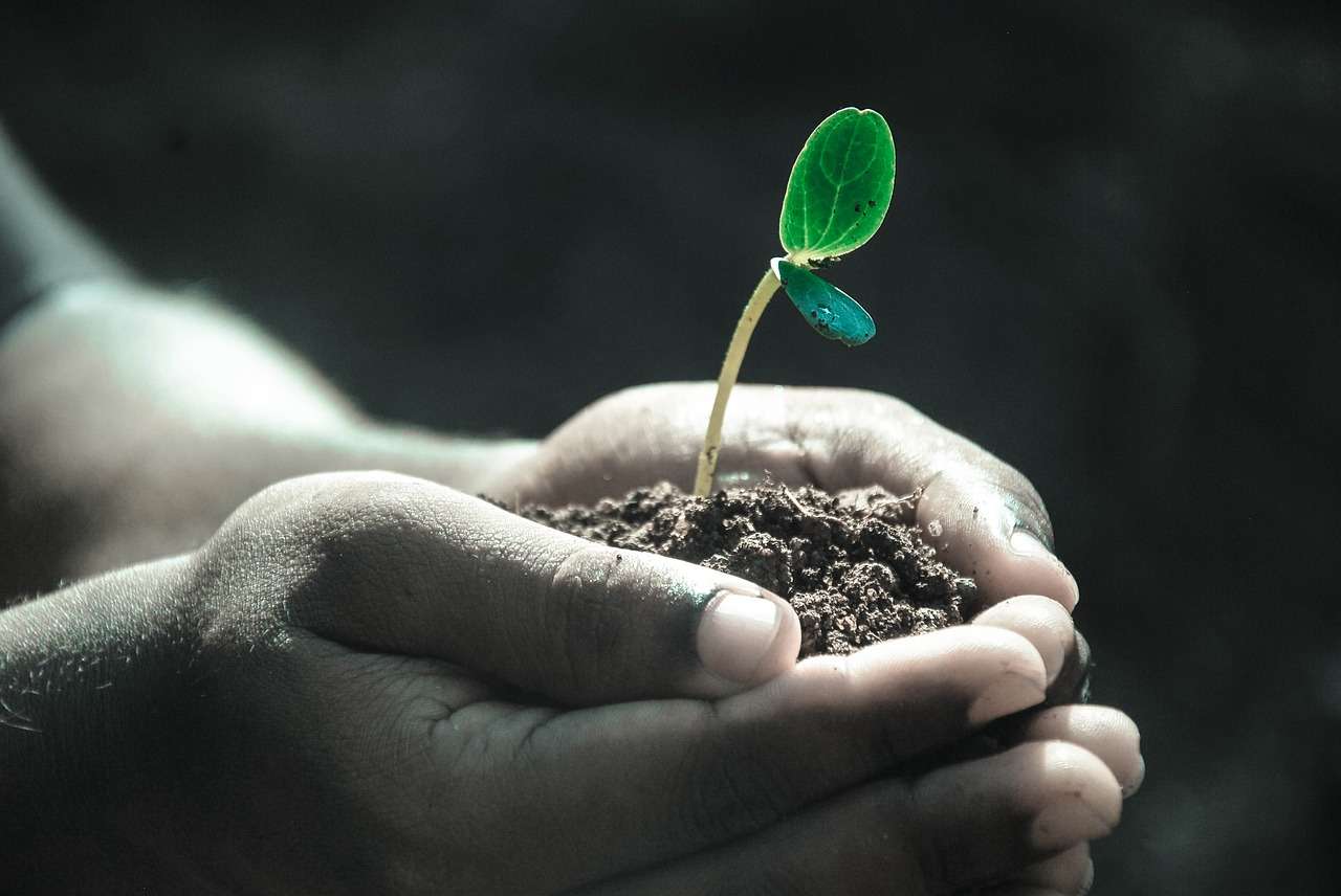 compost humain