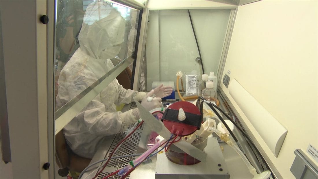 Un scientifique marocain développe un traitement contre le cancer 2 virothérapie amine hajitou marocain cancer traitement