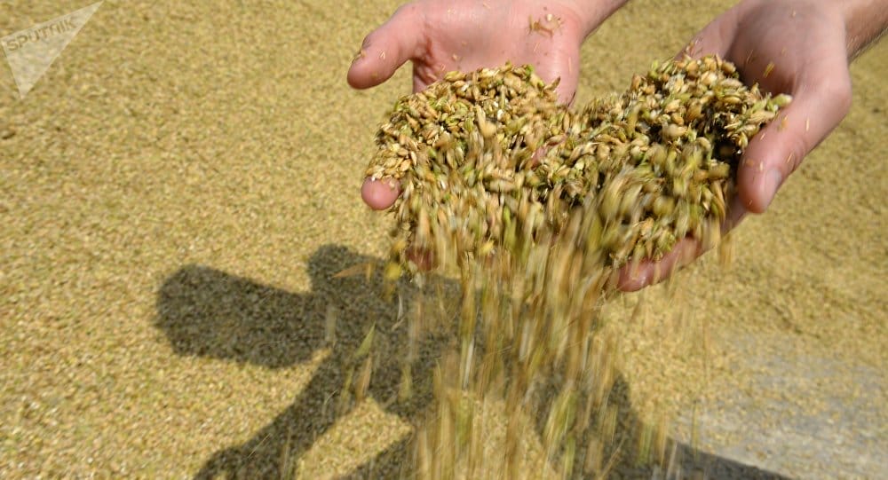 Les averses irrégulières du Maroc limitent le potentiel de récolte 2 Les averses irrégulières du Maroc limitent le potentiel de récolte