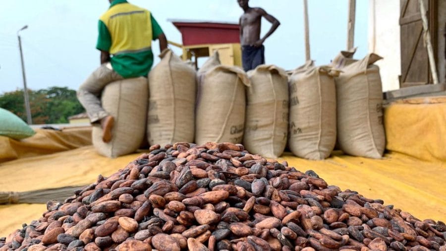 Cameroun : flambée sans précédent des prix du cacao 1 Cacao