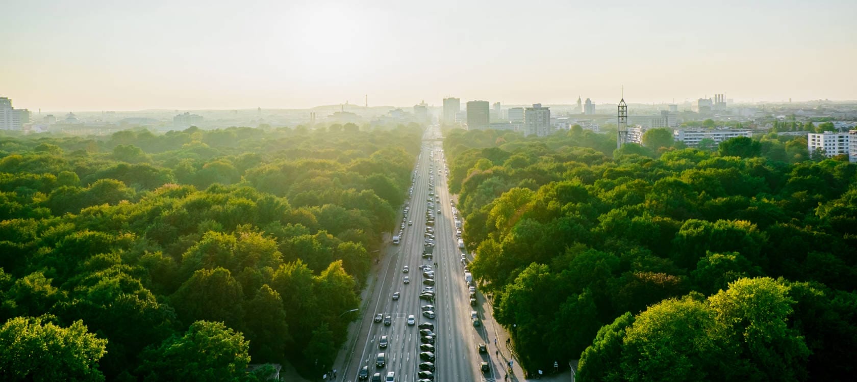 treepedia-urban-tree-1680x750