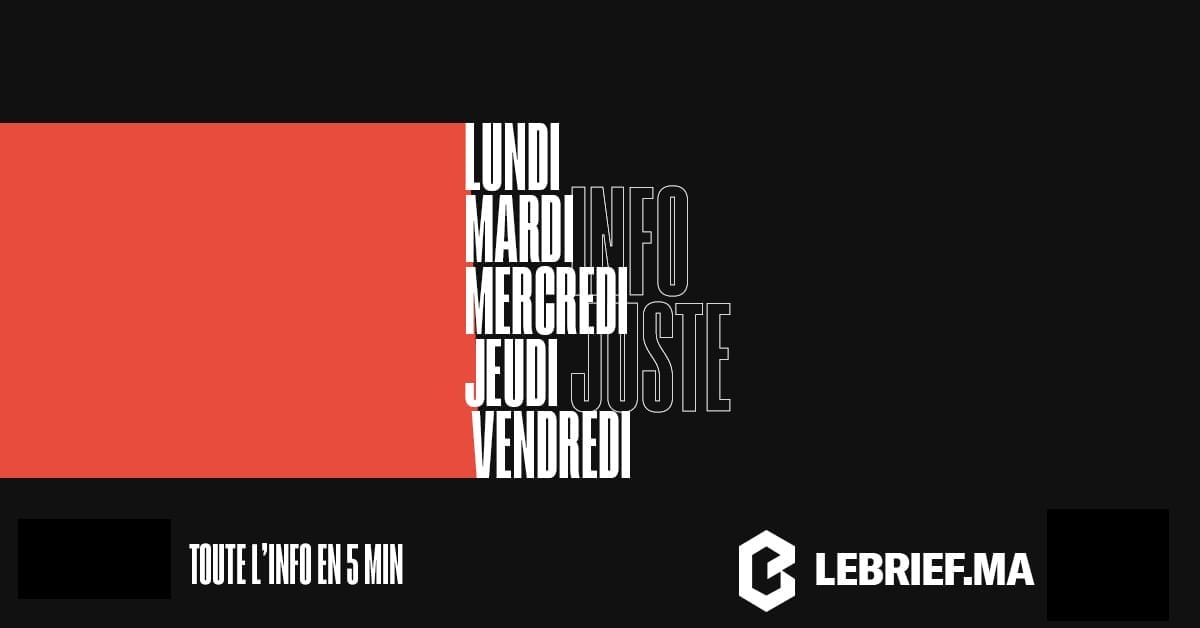 Newsletter_12 Newsletter_12