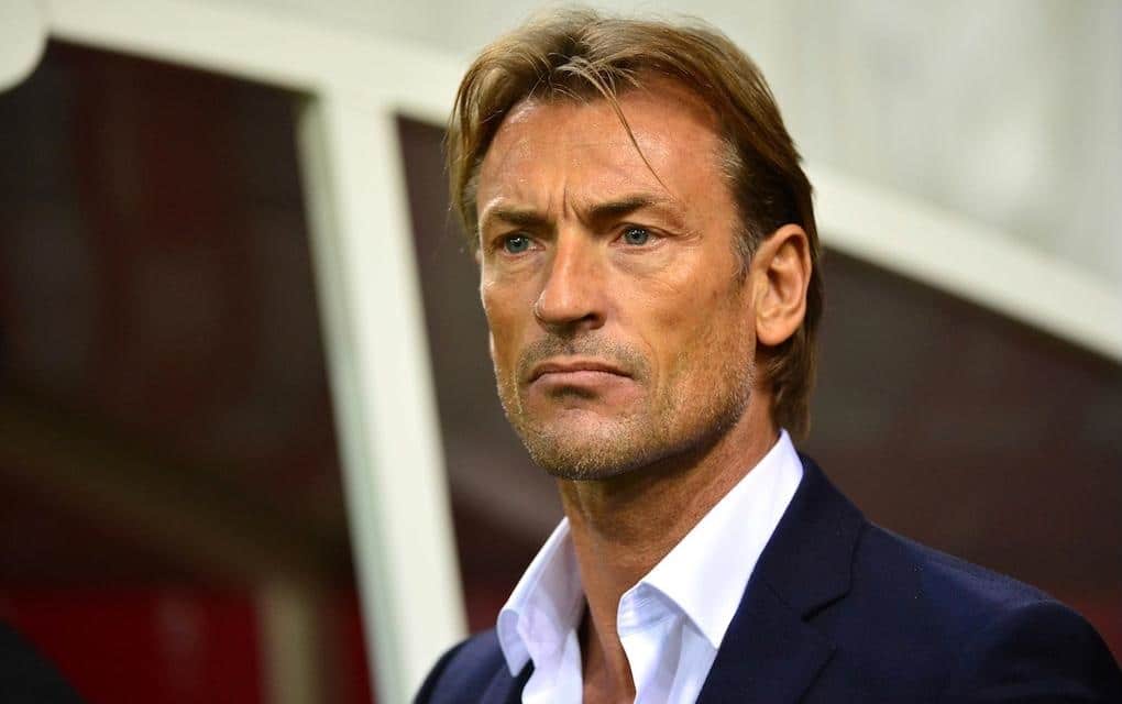 Hervé Renard se préparerait-il à quitter le Maroc pour l’Arabie Saoudite