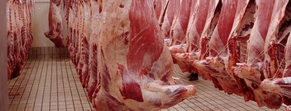 Aid al Adha : sur 492 abattoirs, seuls 17 sont agréés