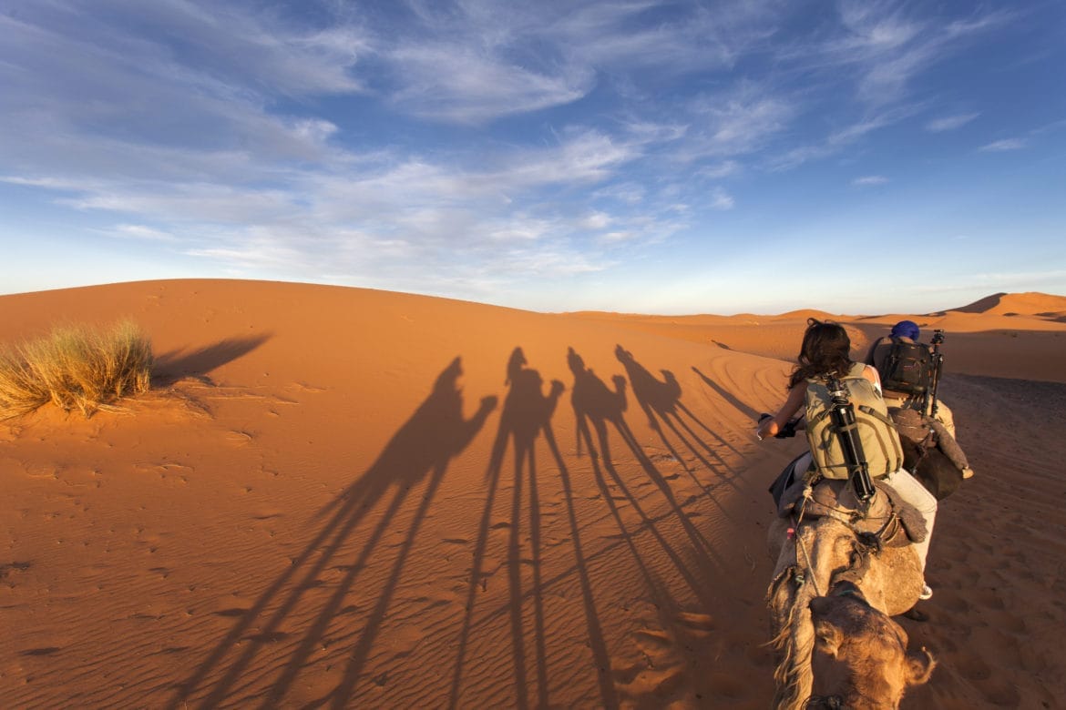 morocco_camel-silhouettes-1170x780