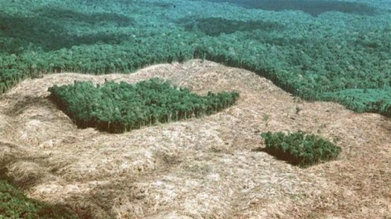 PC_151126_1q0n3_bresil-amazonie-deforestation_sn1250