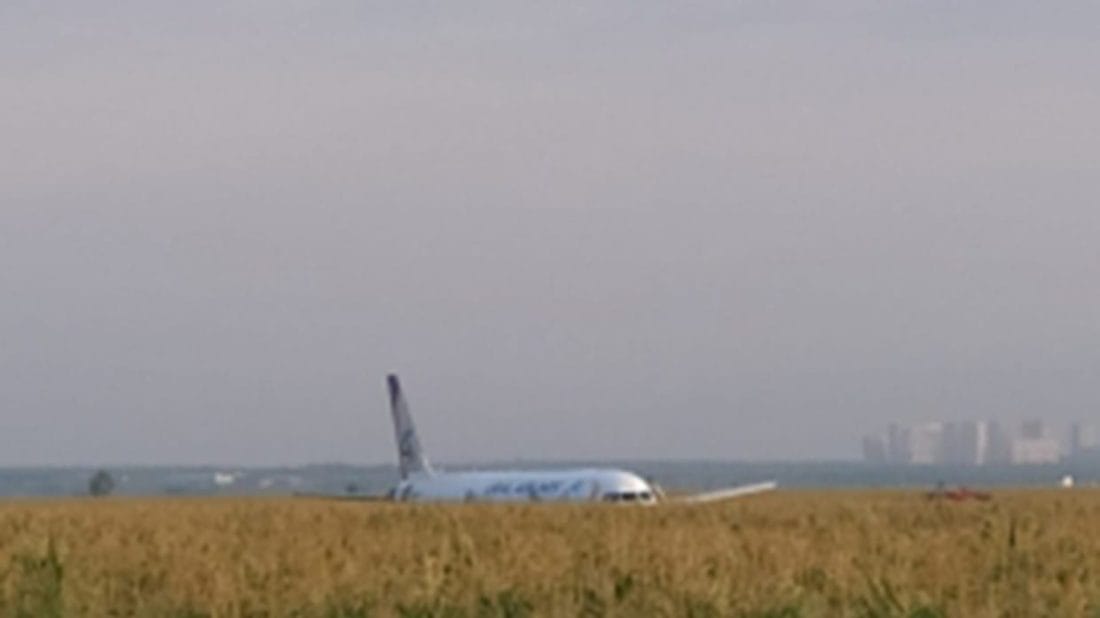 Un Airbus A321 atterrit d'urgence après avoir percuté des oiseaux 2 5d54f030dda4c872618b45fc