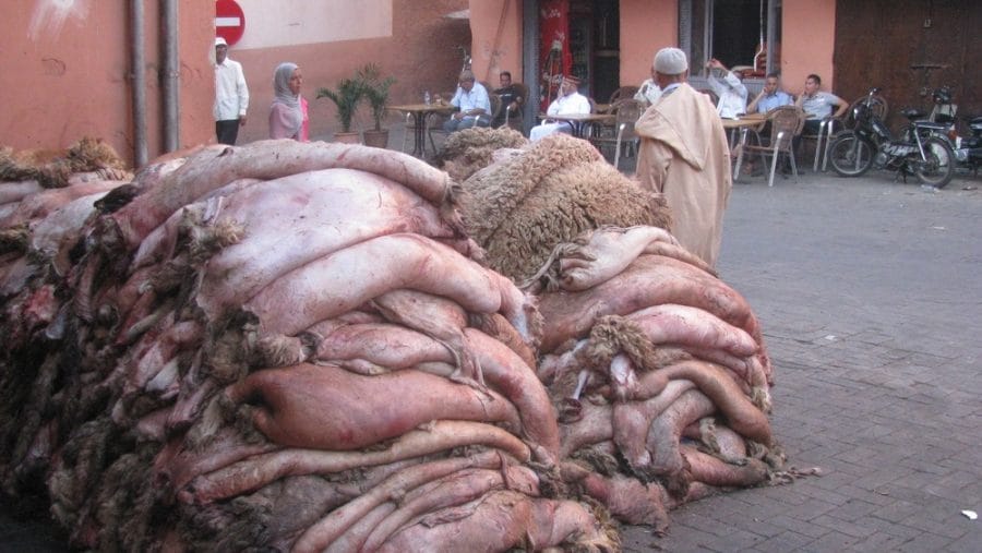 6 villes lancent une campagne de tri de peaux après Aïd Al Adha 2 67898897_2316935805090792_4864244045485965312_n