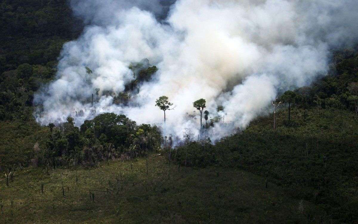 d-importants-incendies-ravagent-l-amazonie-depuis-deux-semaines