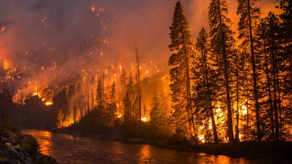 Washington-DNR-Chiwaukum-WildFires-2014-2015_WA-DNR_cropped (1)