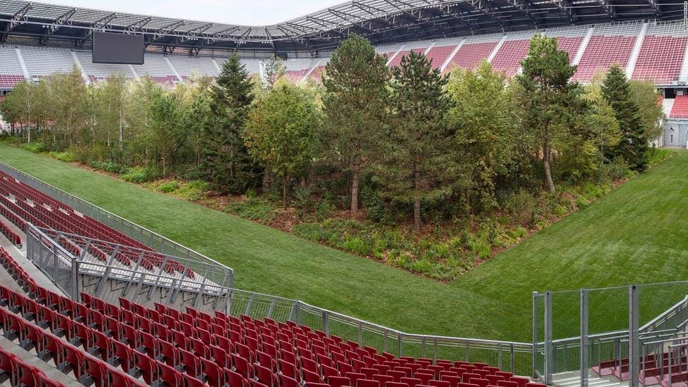 Autriche : un stade de football transformé en une forêt 3 190906103841-forest-in-football-stadium - -klaus-littmann-for-forest - -the-unending-attraction-of-nature-wrthersee-stadium-klagenfurt - gerhard-maurer-4-full-169