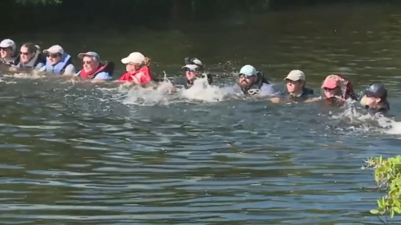 5546632_091719-wls-human-chain-dolphins-spoton-vid