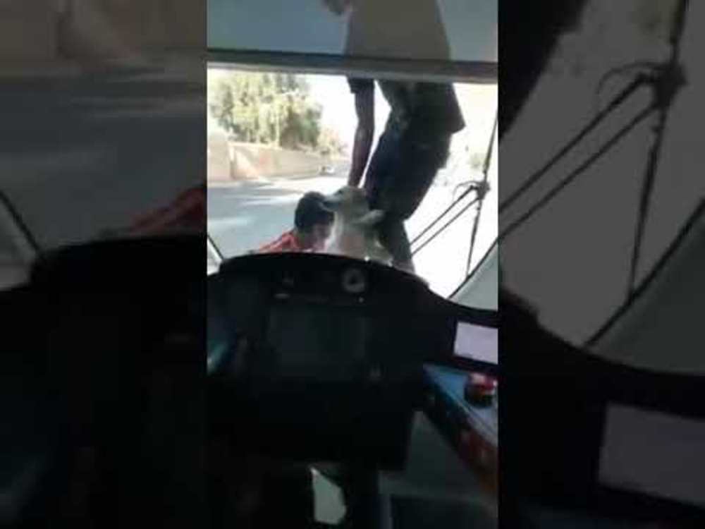 Deux enfants et un chien s'accrochent à un tram en marche à Casablanca 2 hqdefault (1)_0