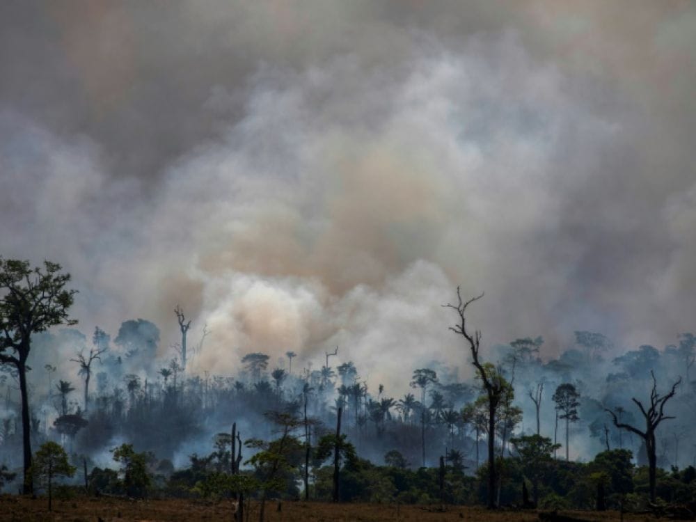 Climat : selon l’ONU, 2019 conclura une décennie de chaleur record 2 cover-r4x3w1000-5de625b8a35a8-89db680eea8610945c0d8611f7a8986756d1450d-jpg