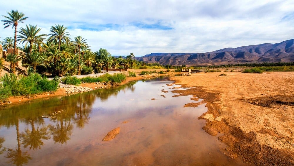 Greenpeace exige une action immédiate pour sauver les oasis marocaines 2 79415116_603208517152320_6464552596597112832_n