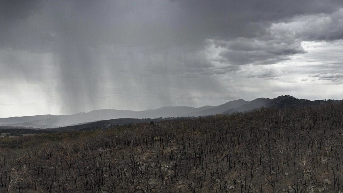 Feux de brousse en Australie : des pluies soulagent le pays 2 australie-feux-de-foret-pluie