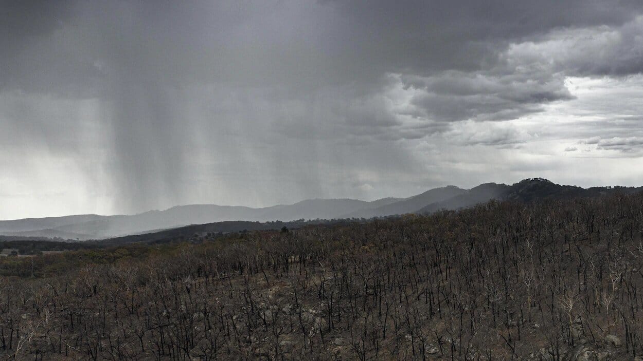 australie-feux-de-foret-pluie