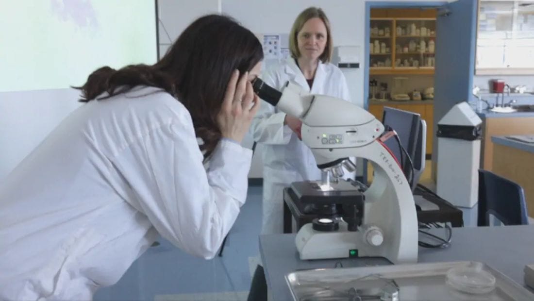 Journée de la femme scientifique