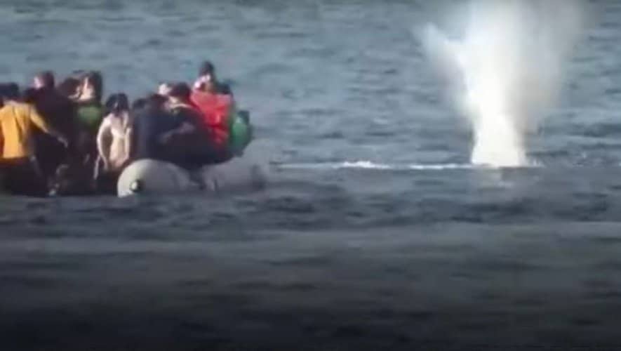 migrants_attaques_en_mer_par_des_garde-cotes_grecs migrants attaqués en mer par des garde-côtes grecs