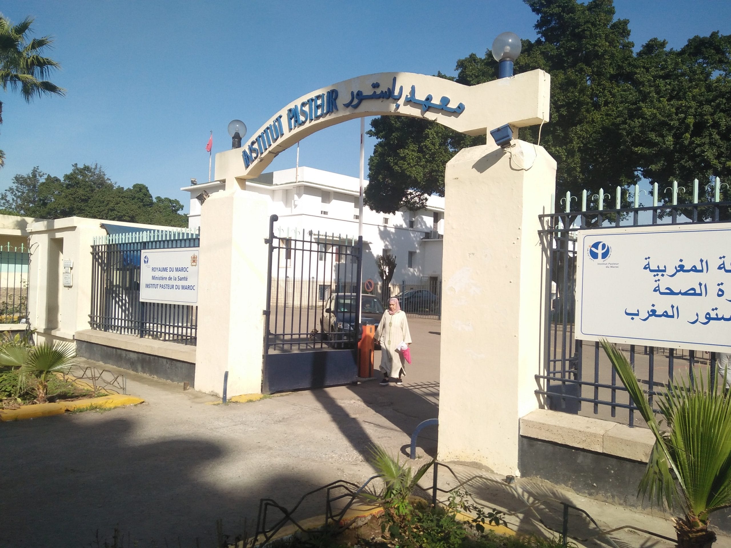 l'Institut Pasteur de Casablanca