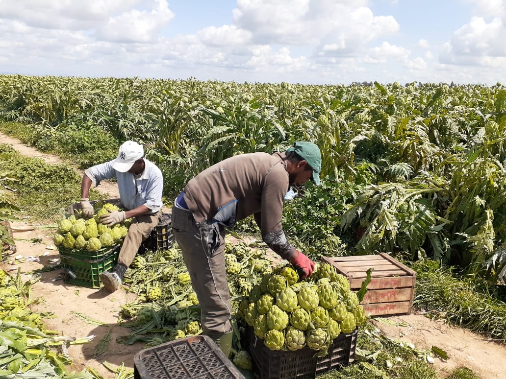 le secteur agricole poursuit son activité