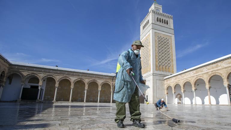 mosqu&eacute;e coronavirus