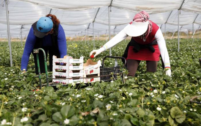 L’Espagne régularise d’anciens mineurs marocains