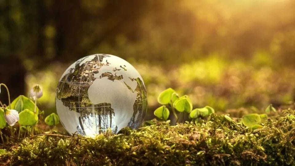 L'avenir de la Terre : ce que disent les collections naturalistes