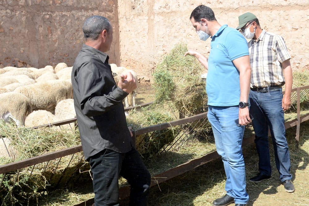 Aïd Al-Adha : instructions pour le bon déroulement de la fête 2 Aïd Al-Adha