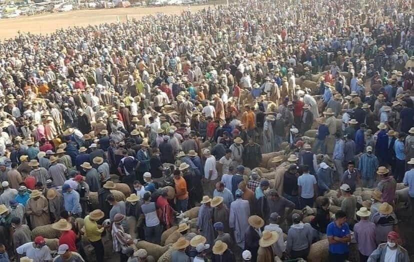 Aid Al Adha : une faible demande malgré des prix "attractifs" 1 Wow