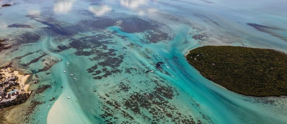 Marée noire à l’île Maurice