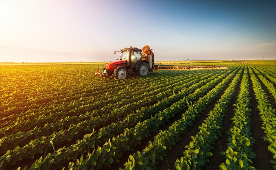 Pesticides : l’ONSSA réexaminera des produits en 2021 2 Pesticides
