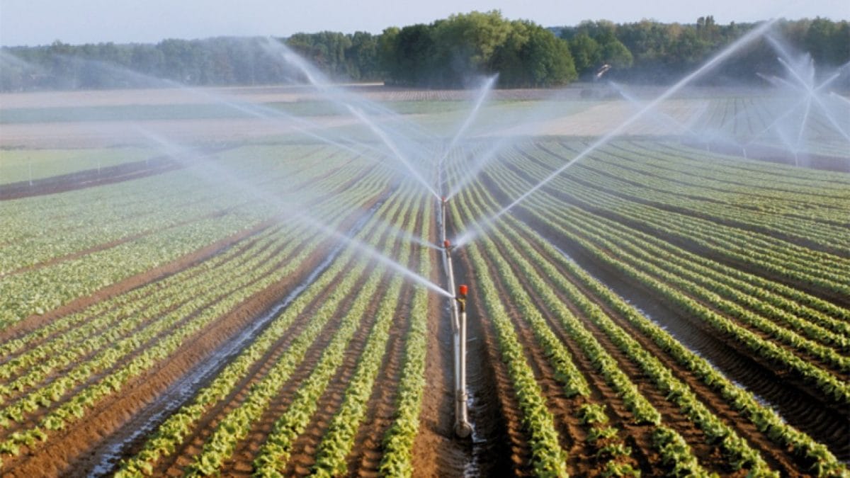 ONCA : un budget de 1,275 MDH pour sensibiliser à l'économie de l'eau