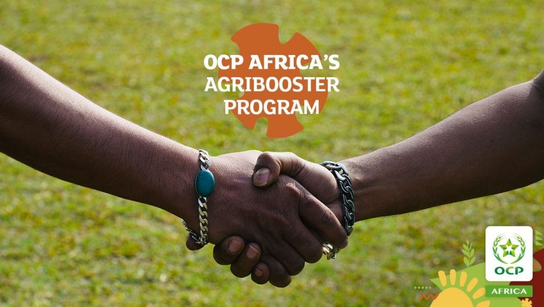 OCP Africa poursuit son développement 2 agribooster