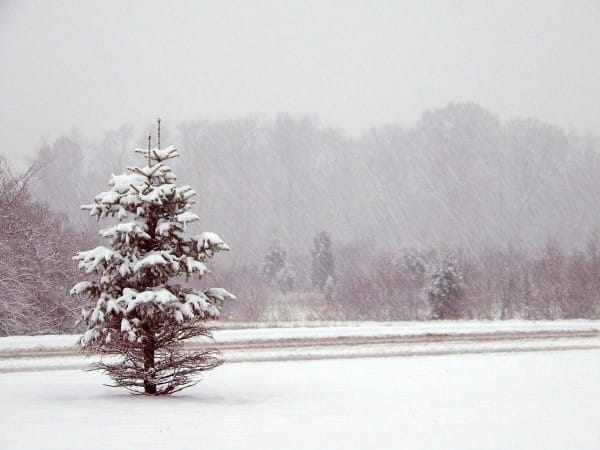 retour de la pluie et de la neige