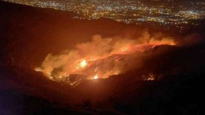 Des feux de forêt ravagent l’Algérie 