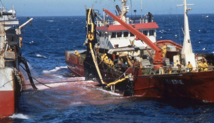 Accord de pêche Maroc-UE