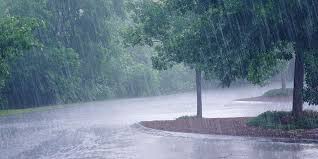 Pluies abondantes : entre bienfaits et dégâts 2 Du froid et de la pluie étaient au rendez-vous cette semaine au Maroc © DR