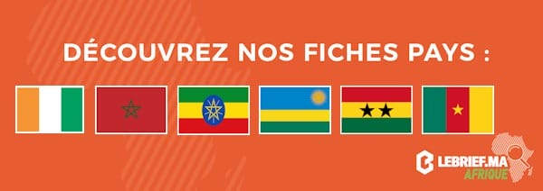 fiche pays 31 01 2021