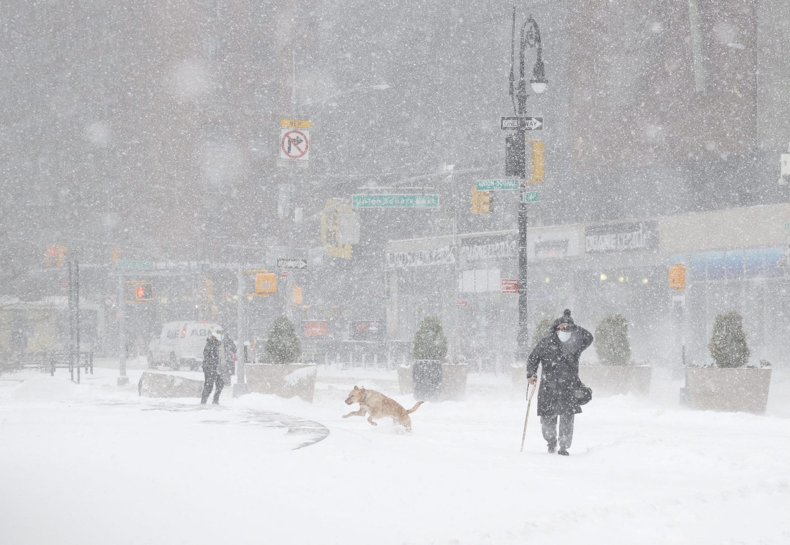 Quelque 13 cm de neige recouvraient déjà Central Park en début de matinée, ce lundi 1er février © MAXPPP