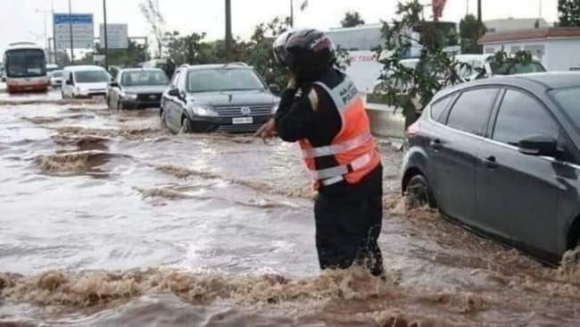 Un plan d'action national sur 10 ans a été dévoilé cette semaine © DR